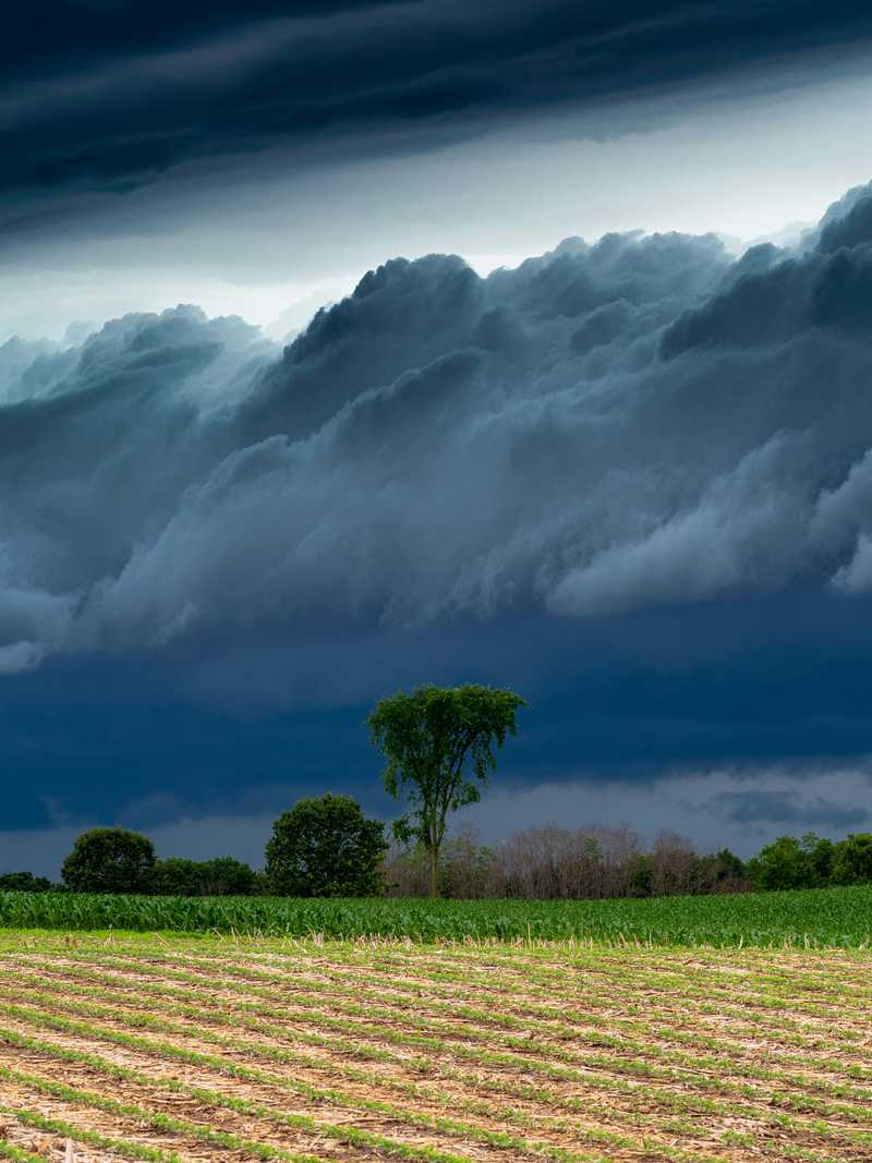 Roof Revivers, your Pickerington roofers with over 20 years of storm repair experience.