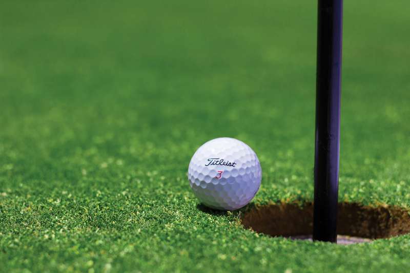 Roof Revivers is hosting a golf outing for our property managers and vendors.