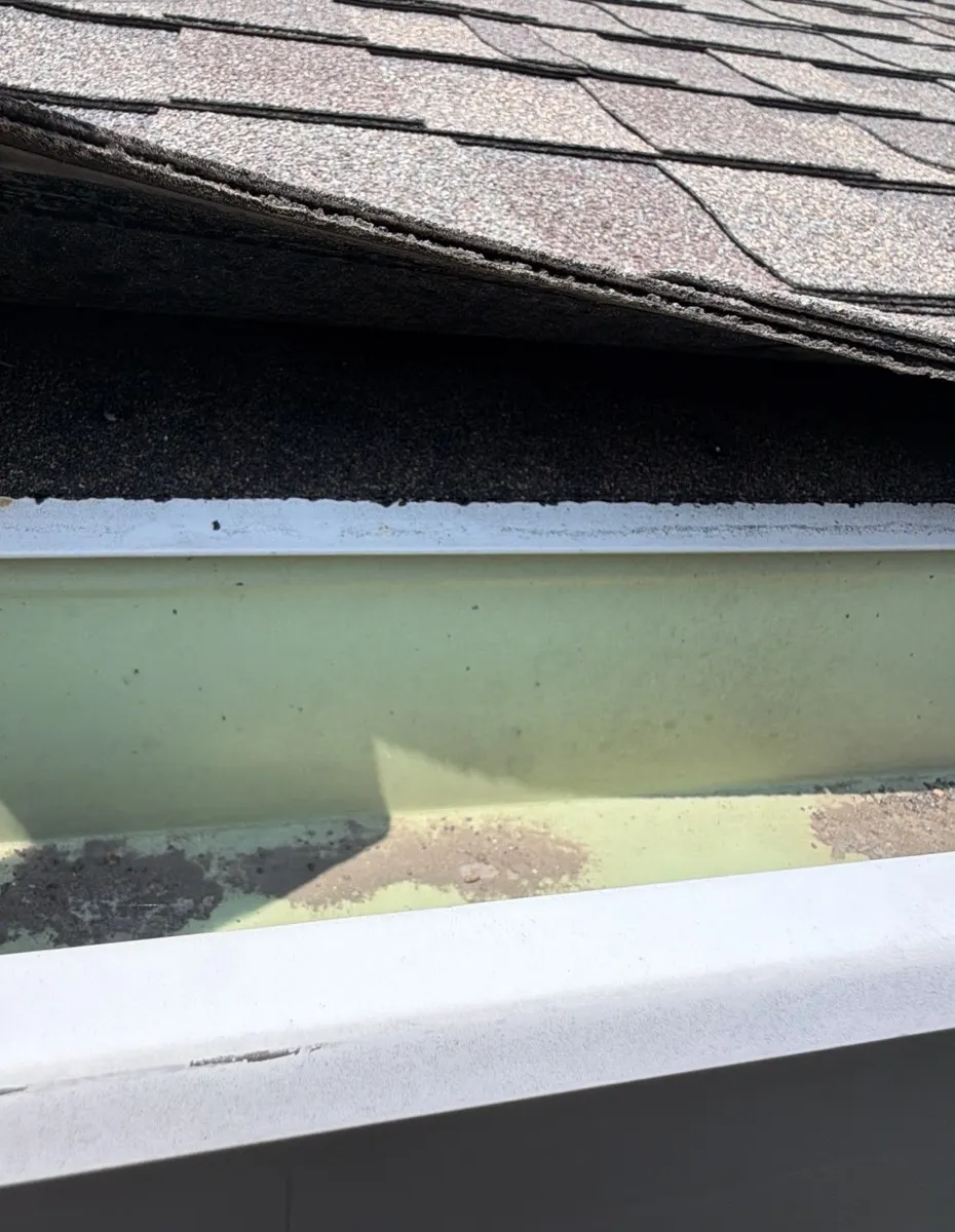 Lifted, unsealed shingle tabs along the eave above the gutter on a Delaware, Ohio home, before roof replacement