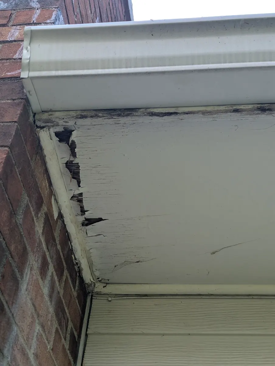 Rotted, peeling fascia board at the chimney corner of the rear eave in Groveport, Ohio, before repair