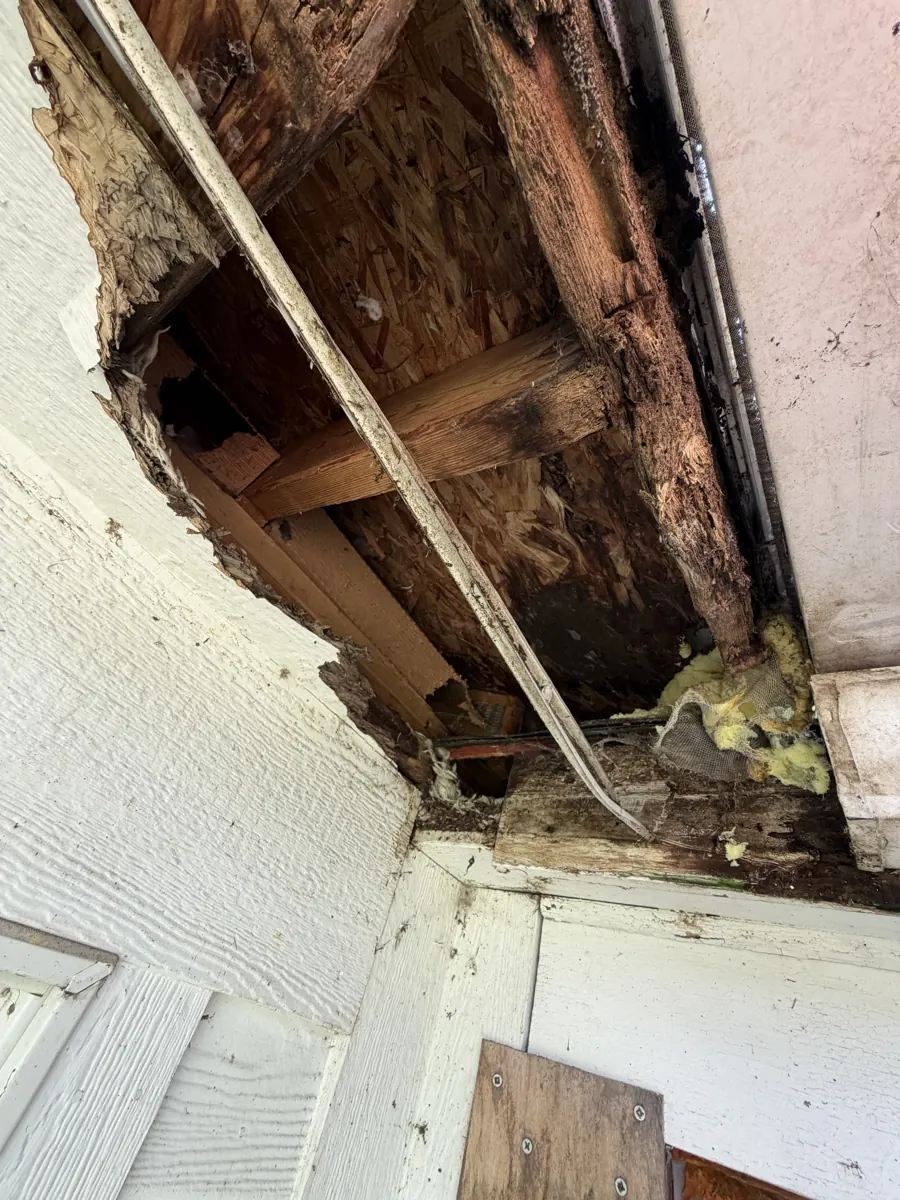 Rotted fascia and roof edge on a Westerville, Ohio home