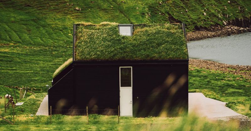All about attic and roof ventilation