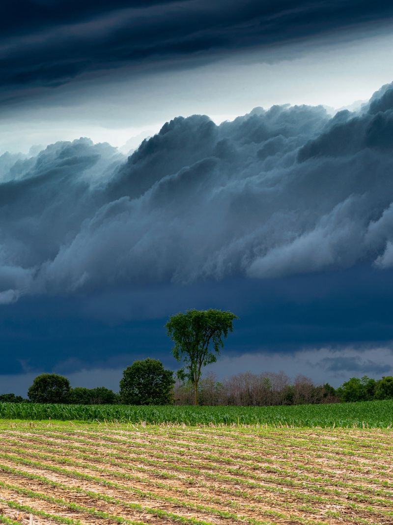 Roof Revivers, your Pickerington roofers with over 20 years of storm repair experience.