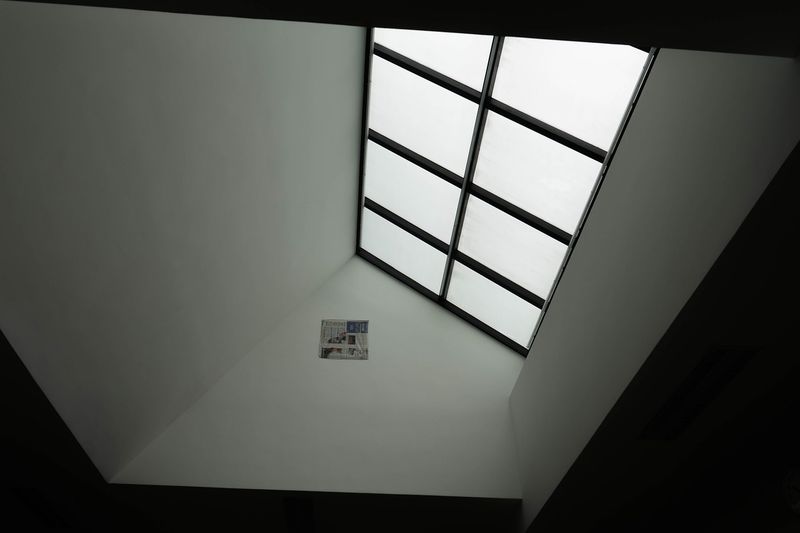 Roof Revivers installs skylights 100% leak free.