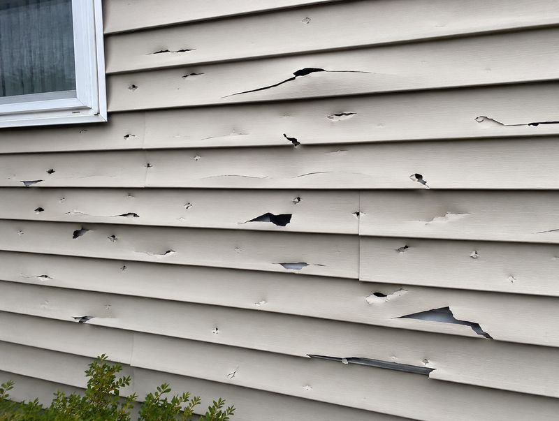 Roof Revivers is a local storm damaged siding repair company in Columbus, Ohio.