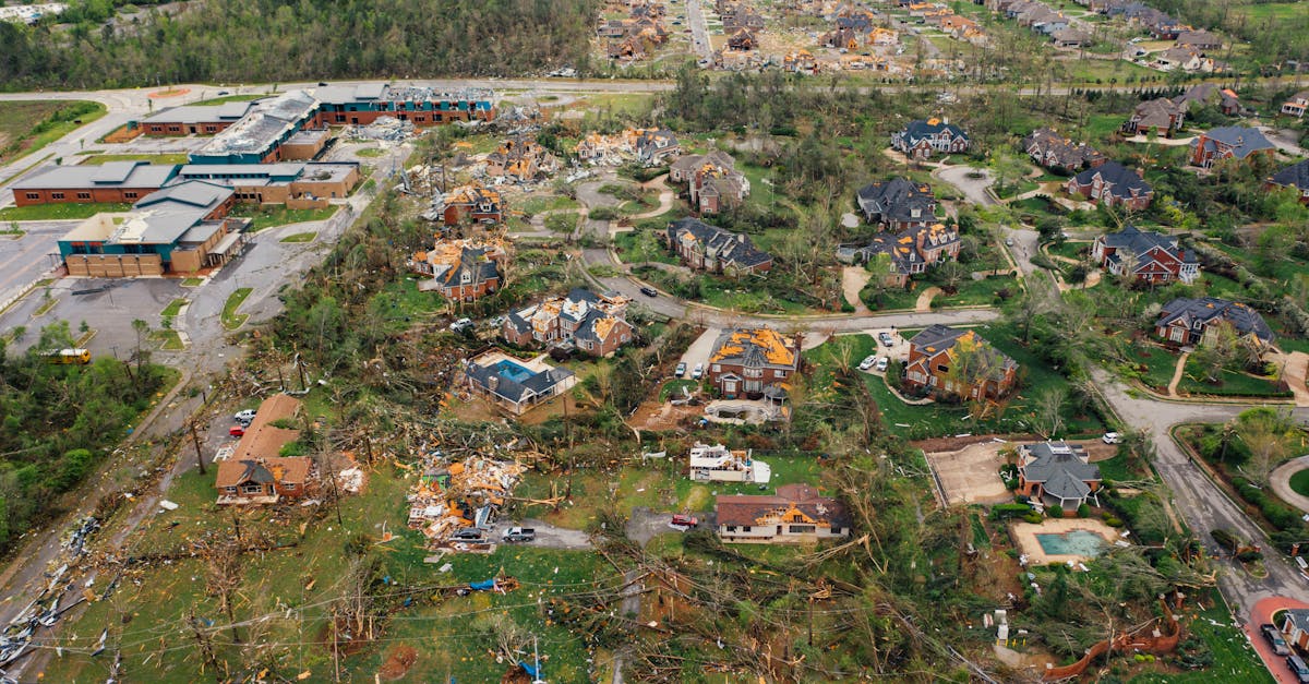 Storm damage roof revivers